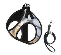 Harnais pour chien avec imprimé ailes d'ange - Gilet réglable et réfléchissant - Pour chiens de petite et moyenne taille