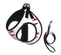 Harnais pour chien avec imprimé carte du drapeau autrichien, 2 boucles, gilet pour chien, clip avant anti-traction pour laisse pour chiens de petite et moyenne taille