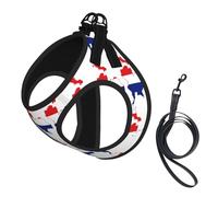 Harnais pour chien avec imprimé carte du drapeau de la Thaïlande, 2 boucles, gilet pour chien, clip avant anti-traction pour laisse pour chiens de petite et moyenne taille