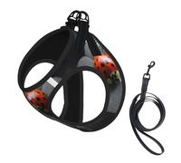 Harnais pour chien avec imprimé coccinelle, 2 boucles, gilet pour chien, clip avant anti-traction pour laisse pour chiens de petite et moyenne taille