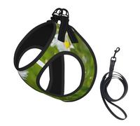 Harnais pour chien avec imprimé coccinelle et marguerite, gilet réglable et réfléchissant, pour chiens de petite et moyenne taille