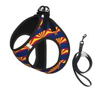 Harnais pour chien avec imprimé drapeau de l'État de l'Arizona - Petite taille et laisse - Doux et léger - En maille respirante