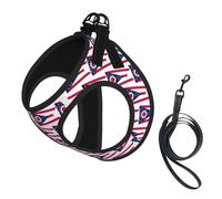 Harnais pour chien avec imprimé drapeau de l'État de l'Ohio - Petite taille et laisse - Doux et léger - En maille respirante