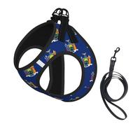 Harnais pour chien avec imprimé drapeau de l'État de New York - Petite taille et laisse - Doux et léger - Maille respirante