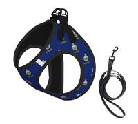 Harnais pour chien avec imprimé drapeau de l'État du Kansas - Petite taille et laisse - Doux et léger - En maille respirante