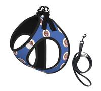 Harnais pour chien avec imprimé drapeau de l'État du Minnesota, petite taille et laisse pour chien, gilet léger en maille respirante