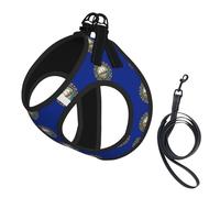 Harnais pour chien avec imprimé drapeau du New Hampshire - Petite taille et laisse - Léger et doux - Maille respirante