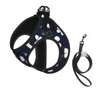 Harnais pour chien avec imprimé fleurs blanches et papillons bleus, 2 boucles, gilet pour chien, clip avant anti-tirage, pour chiens de petite et moyenne taille