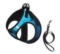 Harnais pour chien avec imprimé requins marteaux, petite taille et laisse - Doux et léger - En maille respirante