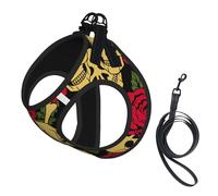 Harnais pour chien avec imprimé rose et tête de mort, petite taille et laisse - Léger et doux - Maille respirante