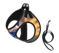 Harnais pour chien avec imprimé tropical hawaïen, palmier, océan, mer, coucher de soleil - Petite taille et laisse - Léger et doux - Maille respirante