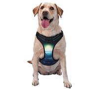 Harnais pour chien avec inscription « Looking up at The Earth » - Équipé de bandes réfléchissantes pour animaux de compagnie et de boucles à dégagement rapide - Convient à tous les types de chiens