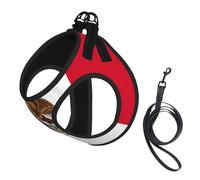 Harnais pour chien avec laisse et gilet rembourré épais pour chiens de taille XS et M Motif drapeau du Mexique