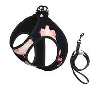 Harnais pour chien avec laisse et harnais pour chien Motif cochon Rouge