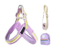 Harnais pour chien avec laisse - Harnais de poitrine réglable pour animal de compagnie, siège ergonomique de sécurité avec poche pour entraînement, promenade, activités