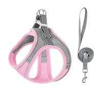 Harnais pour Chien avec Laisse Harnais pour Animaux de Compagnie rembourré et Anti-Traction pour Petits Chiens