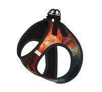 Harnais pour chien avec motif dragon maléfique - Respirant, réfléchissant et réglable - Convient aux petits chats et chiens