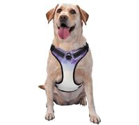 Harnais pour chien avec motif fleur de colza - équipé de bandes réfléchissantes et de boucles à dégagement rapide - Convient à tous les types de chiens