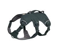 Harnais pour chien avec poignée Ruffwear Web Master Gris S