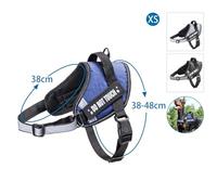Harnais pour Chien avec réglage Facile, matériau résistant et rembourré, idéal pour Les promenades, l'entraînement et Le contrôle en extérieur.