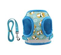 Harnais pour Chien avec Sangle de Transport pour Petit Chien, Harnais pour Chien, Gilet sans réflecteur, Harnais réglable Anti-évasion (Bleu S)