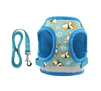 Harnais pour Chien avec Sangle de Transport pour Petit Chien, Harnais pour Chien, Gilet sans réflecteur, Harnais réglable Anti-évasion (1 XS)
