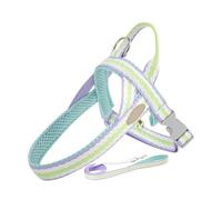 Harnais pour chien avec sangle | Ensemble harnais de marche pour chien - Outil de promenade pour chien avec anneau de traction en alliage de zinc pour pique-nique, promenade quotidienne, sortie de