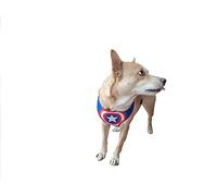 Harnais pour chien Avengers Captain America Taille M - l