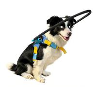 Harnais pour Chien Aveugle, équipement de sécurité pour Chien Aveugle avec Halo, Dispositif de sécurité Anti-Collision, Collier de Protection pour la Confiance et la sécurité, mobilité sans Entra XXS