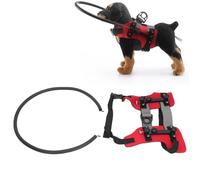 Harnais pour chien aveugle - Fixation facile - Robuste et réglable - Anneau de protection pour chien aveugle - Dispositif de guidage pour chien aveugle - Anneau anti-collision pour animaux aveugles (S