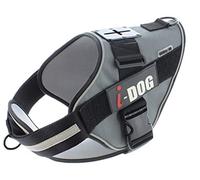 Harnais pour Chien Balade et Loisirs Polyvalent Confortable NEOCAM (M, Gris)