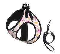 Harnais pour Chien Bats Daisy Halloween à Enfiler, sans Traction, réglable, en Douce rembourrée et réfléchissante, avec Laisse Assortie pour Chiens de Petite et Moyenne Taille. Idéal pour Le