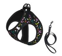 Harnais pour Chien Bats Daisy Halloween à Enfiler, sans Traction, réglable, en Douce rembourrée et réfléchissante, avec Laisse Assortie pour Chiens de Petite et Moyenne Taille. Idéal pour Le