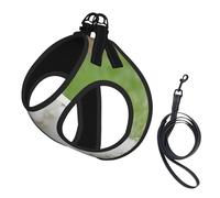 Harnais pour chien Bichon Frise imprimé chien petite taille et laisse Ensemble harnais doux et léger en maille respirante