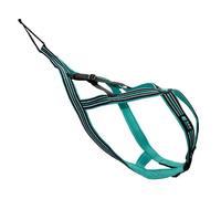 Harnais pour chien Cani Gear Olympia Vert L