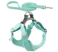 Harnais pour Chien Chiot en Suède, Laisse Plate Réglable, Anti-Traction | Chiens Moyens et Petits, Design Ergonomique, Facile à Ranger, Sorties Extérieures et Promenades au Parc