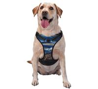 Harnais pour chien City at Night - Équipé de bandes réfléchissantes pour animaux de compagnie et de boucles à dégagement rapide - Convient à tous les types de chiens
