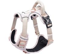 Harnais pour Chien - Collection Clyde - Rembourrage Respirant - Coupe très ajustée - Harnais de Poitrine pour Chiens de Grande, Moyenne et Petite Taille (M)