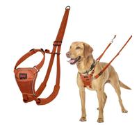 Harnais pour Chien Company of Animals BURNT Orange 12