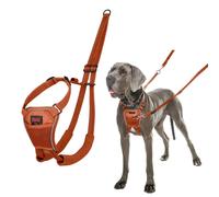 Harnais pour Chien Company of Animals BURNT Orange L