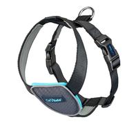 Harnais pour Chien Company of Animals CarSafe Noir L