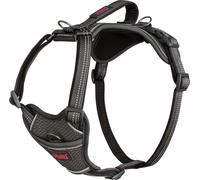Harnais pour chien Company of Animals Gris L 42-65 cm