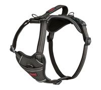 Harnais pour Chien Company of Animals Gris M 35-55 cm
