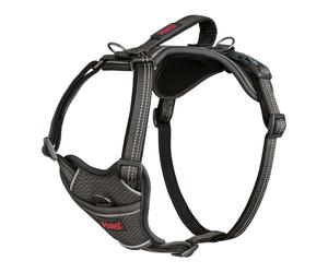 Harnais pour Chien Company of Animals Gris XS 20-32 cm