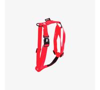 Harnais Nylon Réglable 40-90/110 Rouge - Martin Sellier
