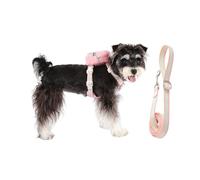 Harnais pour Chien - Confortable Et Réglable avec Sac À Fermeture Éclair pour Animaux,Harnais Chien Anti-Traction Et Laisse Ensemble | pour Chiot Petit Moyen Grand, Promenades et Activités