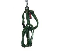 Harnais pour chien cuir vachette Martin Sellier Reg Nature Vert 20/50-70 cm
