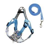 Harnais pour Chien de Compagnie Harnais pour Chien en Nylon réfléchissant Sangle de Poitrine pour Chien Collier pour Animal de Compagnie réglable et Respirant pour Petits Chiens (Bleu S)
