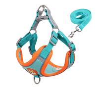 Harnais pour Chien de Compagnie sans Traction, Ensemble Harnais et Laisse pour Chien, Harnais réglable pour Chiot et Chat, Gilet réfléchissant, Laisse de Marche (Bleu L 7_10 kg)