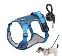 Harnais pour chien de grande taille, doux, anti-traction réglable, harnais de poitrine flexible pour chien pour activités de plein air